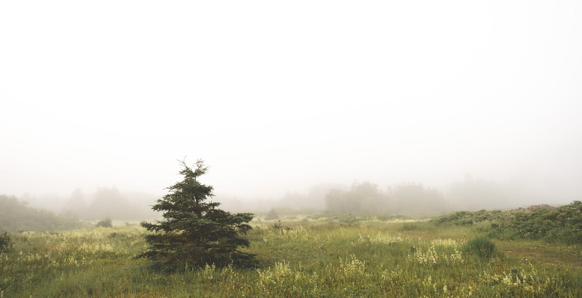 gaspésie-découvrir-le-quebec-autrement