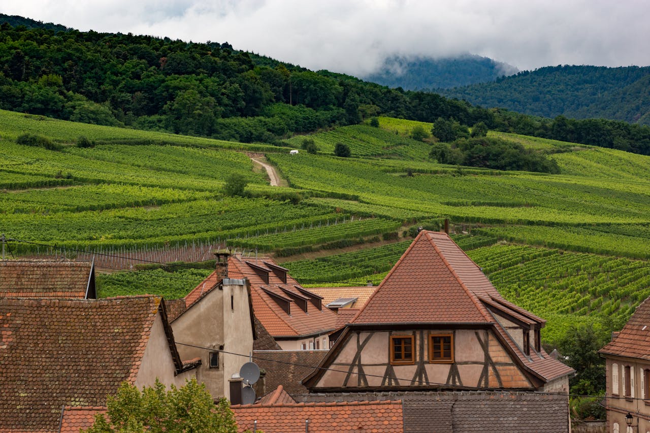 que-faire-en-alsace-conseils-de-voyage